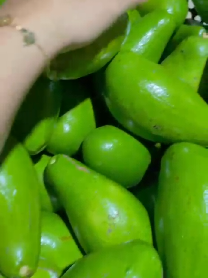 Alpukat mentega Lampung