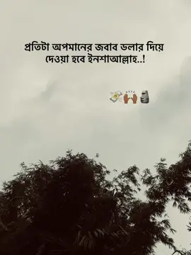প্রতিটা অপমানের জবাব ডলার দিয়ে দেওয়া হবে ইনশাআল্লাহ #foryou #foryoupage #tiktok #tamzid 