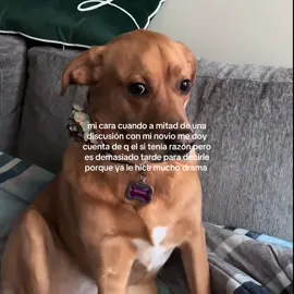 mentira el nunca tiene razón #fyp #novia #novio #fyppppppppppppppppppppppp #razon #discusionesdeparejas #humor #sisoy 