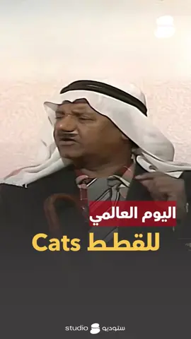 ⁨	القطاوة يبيلهم مهر غير الزوجة 😅 #اليوم_العالمي_للقطط #القطط⁩