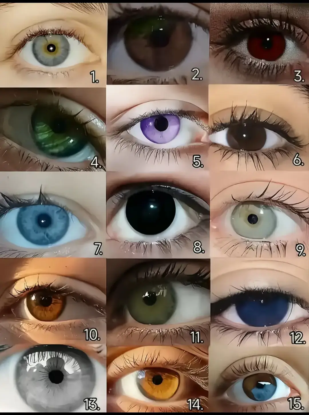 #حمودي #trend #foryou #تيك_توك 