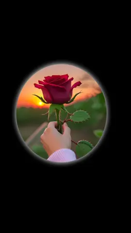 asthetic dpz  #tiktok #profilepics #profile #viralvideo #dplover #tutorial #dp #growmyaccount #fypシ 