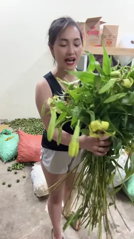 Mắc ca cùng e @Huyền Lai Châu đi ạ. Nay về được 4 ta mắc.  Ca tươi hàng bà con vừa hái bác nào ăn mắc ca ủng hộ nông sản của bà con quê e nha . #huyềnlaichau #xuhuong2023 #tren #xuhuongtiktok #hoalan #trending 