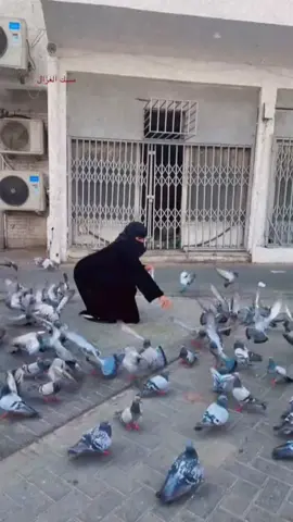 #هاشتاقات_تيك_توك ##المراعيه_الحويطات_بدو_الجنوب_اكسلبو #اكسلبورر_explore #هاشتاقات_تيك_توك_العرب #الجنوب_السعودية #معان_الجنوب #هاشتاقات_تيك_توك_العرب 