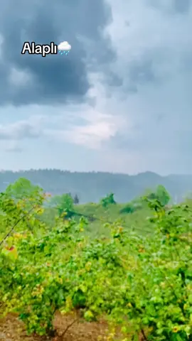 ##ikigözümünçiçegii🌹 #63_ismail_bey_63 #karadeniz#alaplı67 #yağmur#keşfetteyizzz #tiktok #63_ismail_bey_63 @BARAN 🧢 @Abu miran ♾️ 