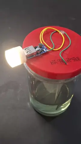 DIY Battery Free Energy from the Bleach #nyorvlog23 #fypシ゚viral #freeenergy #tutorialonyoutube