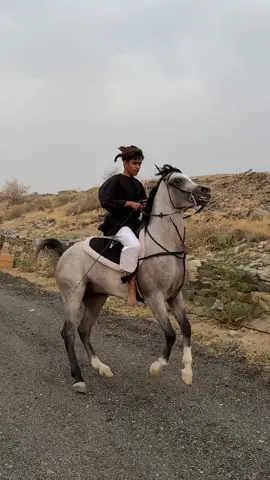 الله يبارك فيه🤩🤍🤍.#خيل_وخياله🐎 #رعد #ماشاءالله_تبارك_الله #الطايف #اكسبلورexplore #الشعب_الصيني_ماله_حل😂😂 