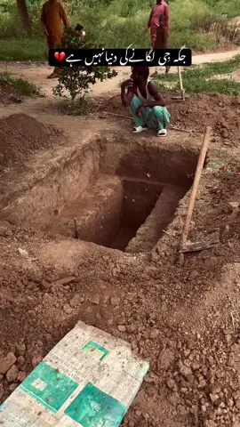 #MerA_sonA_pind_pind_Sabazpeer🌾🌾🌹 #alihassan__39 #foryou 