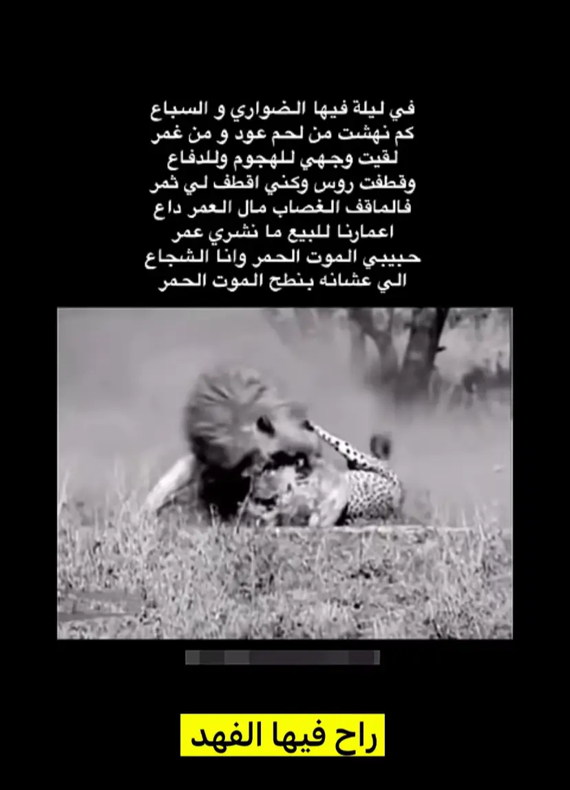 #ضريه__القصيم__السعوديه❤ #القصيم_بريده_عنيزه_الرس_البكيرية 