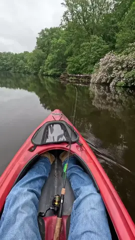 giant fish fishing in amazon river #fishing #amazonriver #foryou #viral 