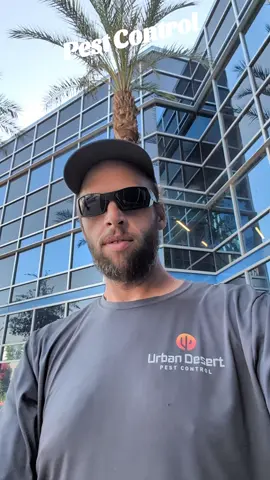 #urbandesertpestcontrol #spiderman   
