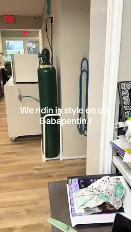 We rollin on our gabapentin #cats #catsoftiktok 
