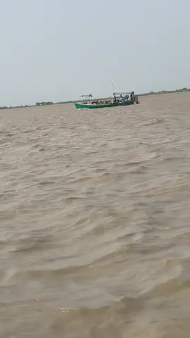 #بیڑی #