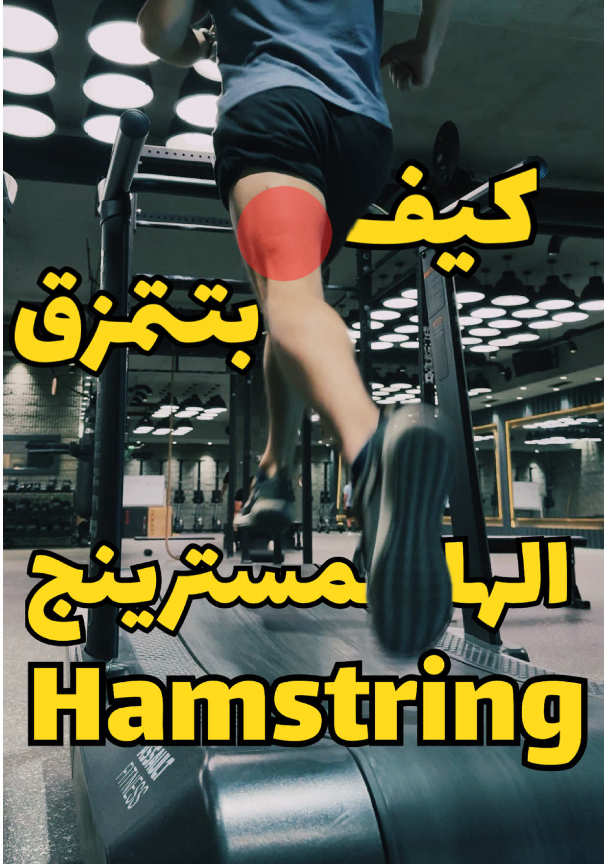 ⁨	⁨	اهم ٣ عوامل بزيدو من احتمالية هاي الاصابة  ١- تمزق قديم بالهامسترينج ٢- ضعف الeccentric contraction  ٣- ميلان الحوض للامام اوanterior pelvic tilt بخلي عضلة الهامسترينج بوضعية ضعيفة  #hsi #علاج_طبيعي #calisthenics #physiotherapy #جري⁩⁩