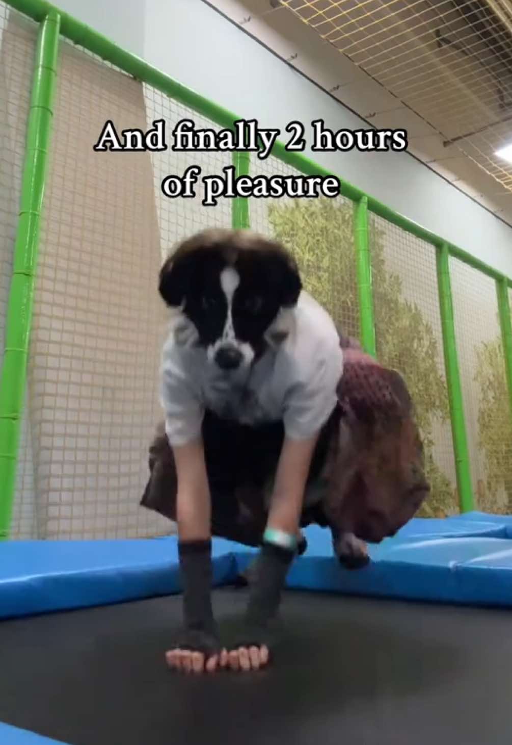 — This is my first trip to a public place in real me, I really liked it, although before it was very scary after stealing the tail. But despite everything, I scored on the opinion of others and finally I am myself even if someone does not like it                                   #therianthropy #fypp #therian #alterhuman #theriangear #inpublic #therianmask                             #dogtherian