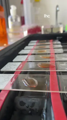 #anapathwithzaineb #pathotalk #LabLife #girllab #commetothelab #daywithme❤️ #anapathwithme #ihc #Histologist 