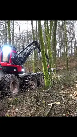 #machine #forestry #treecuting #logger #foryourpage #asmr 