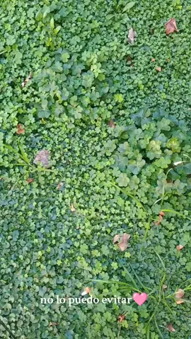 💚💚💚💚💚