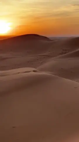 دع بلاد الذل و ارحل يا لبيب، و اغترب فالكل  بالدنيا غريب، القضا مكتوب والداعي نصيب، اركب الاخطار والهول المهيل #بيت #بويت #شعر