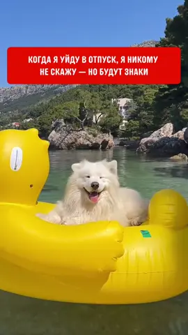 Отправьте тому, кому срочно нужен отпуск 🌴 