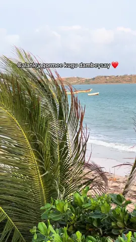 Calanley ❤️#cameradaqarsoon📷 #kismayotiktok #foryoupage #viral_videos 
