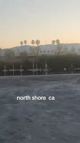 #tiktoklive #livehighlights 