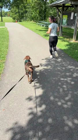 Born to run… nope#sillypuppy #dogsoftiktok #puppytiktok #puppylife 