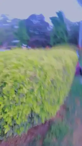 #CapCut #🥹🥹🥹 #❤️❤️❤️❤️❤️ #❤️😍😘🥰foryou🥺🥺 #❤️❤️❤️❤️❤️ #CapCut #❤️❤️❤️❤️❤️ 