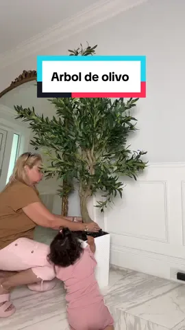 Un árbol de olivo hermoso #arboldeolivo#plantasdeinterior#olivos#olivetree#olivetreedecor#artificialplants