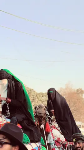 ياهلاا💔💔💔💔#السبايه #الشام #السيدة_زينب_سلام_الله_عليها #مشايه #كربلاء_مدينة_العشق_والعاشقين #ال #طريق_الجنة💚 