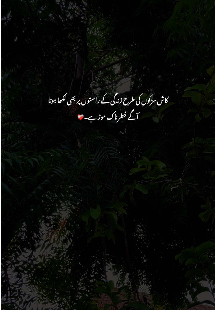 ❤️‍🩹🥹#viralvideos #fyp #poetry #grow #aestheticvideos 