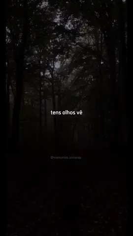 Tem olhos e vê, ouvidos e ouve…🥹🎶 #temolhosevê #nairnany #jesuséreal 