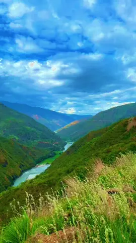 तमोर खोला❣️