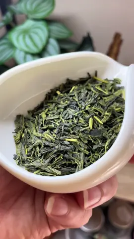 Something different 🍵 #tea #tealover #teatime #茶 #greentea #itoen #japanesegreentea #senchatea ##greenteaaesthetic