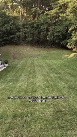 Nothing more satisfying than fresh lawn stripes 🤩  #lawn #lawncare #aesthetic #Outdoors #yard 