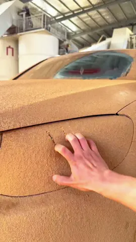 #washingcar #cleaningcar #asmr #oddlysatisfying #viralvideo #viraltiktok 