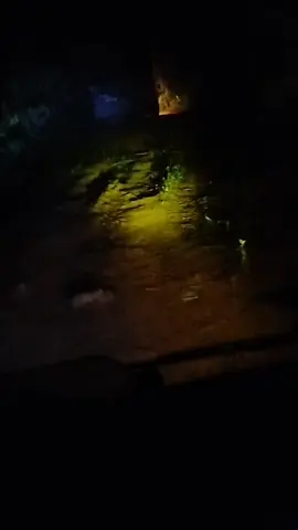 jam malam masih ditengah hutan belantara 👻 #cantermaniaindonesia 