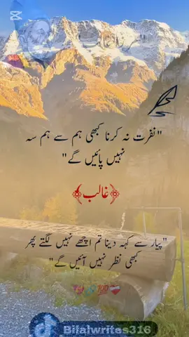 Mirza Ghalib poetry #sadpoetry #ghalib__writes #viral #grow #learnontektok 