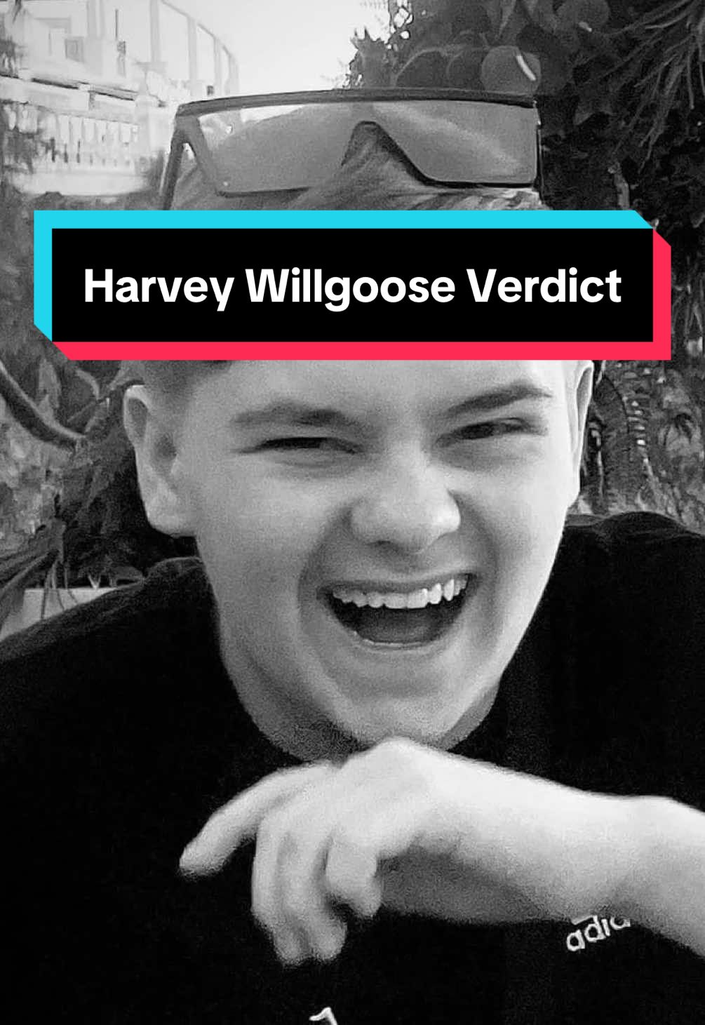 Harvey Willgoose verdict 😔 #sheffield #southyorkshire #yorkshire #crime #news #breakingnews 
