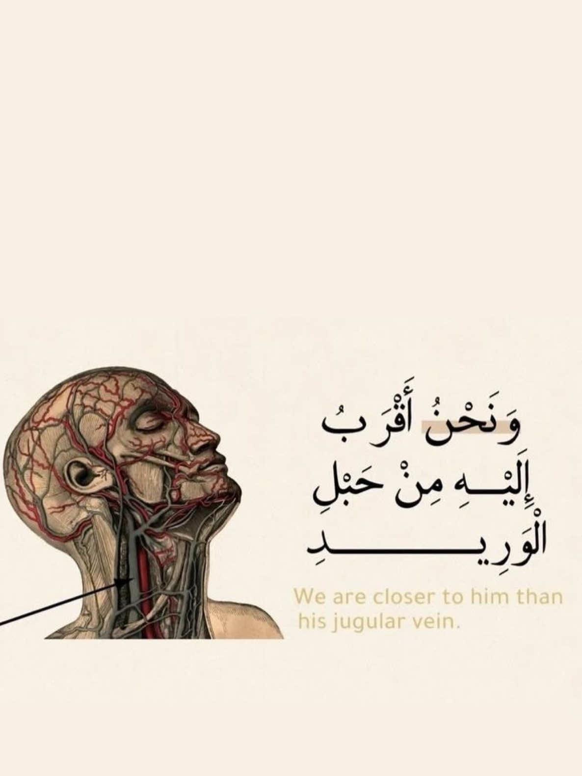 سورة  ق | للقارئ محمد صديق المنشاوي: ونحن اقرب إليه من حبل الوريد #المنشاوي #قران #quran_alkarim #viral #fyp #explore #صدقة_جارية 