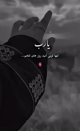🤲🏻🤍#islamic_video #foryoupage❤️❤️ #اسلام #afghan #allahuakbar #explore #UK #افغانستان #foruyou #الله #fypageシ #اللهم_صلي_على_نبينا_محمد #fyp #loveyou #foru #fyyyyyyyyyyyyyyyy #مهربانی #fup 