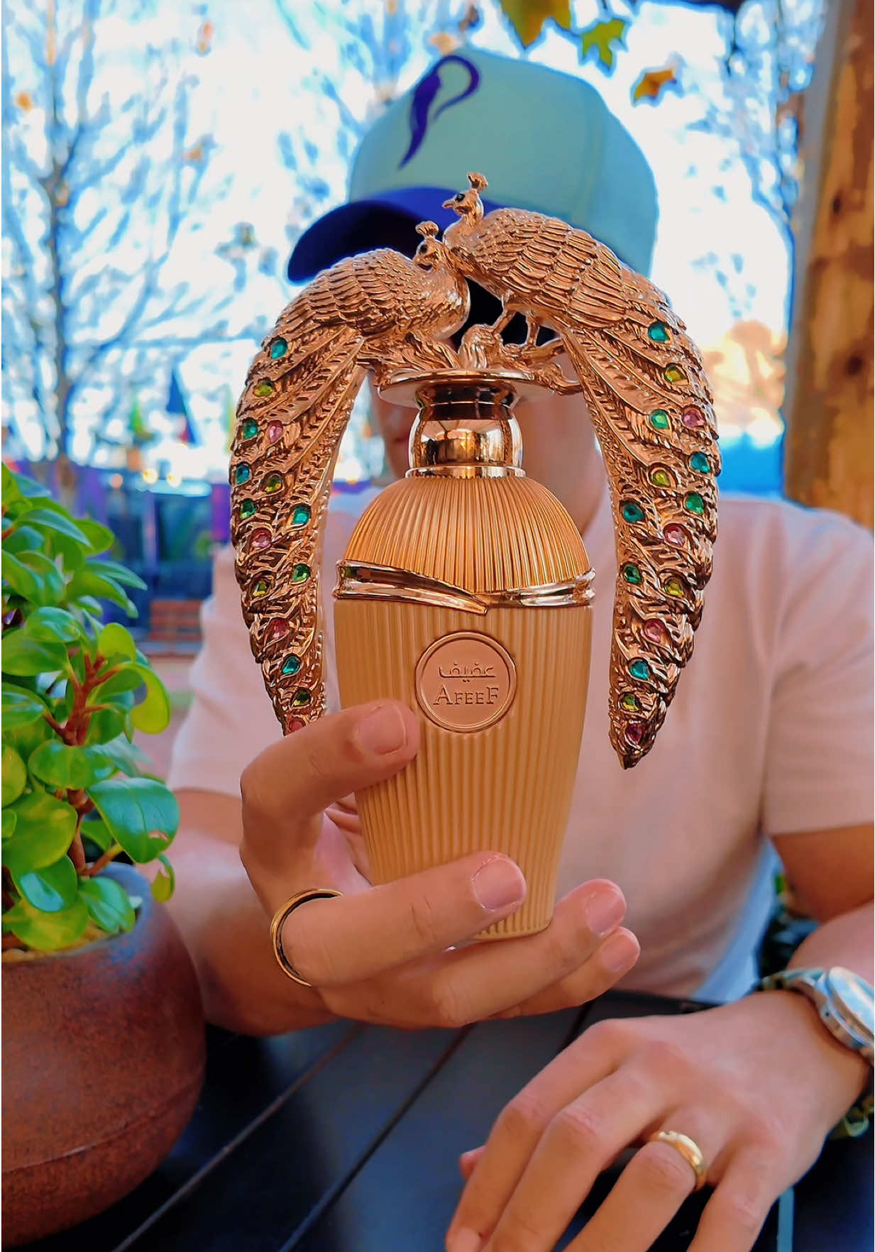 Perfume Árabe Lattafa Afeef