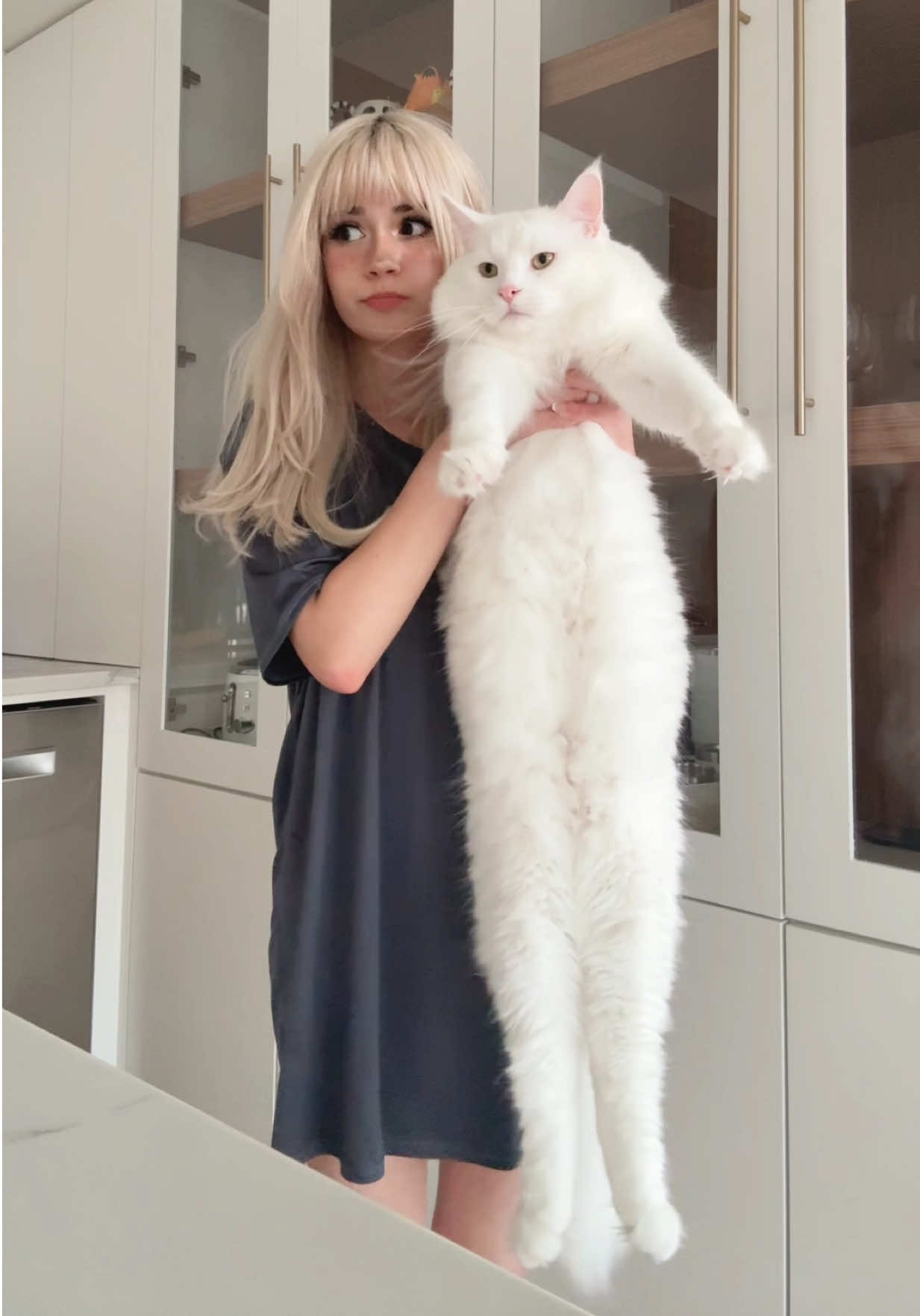 Only labubu I got. #viral #trending 