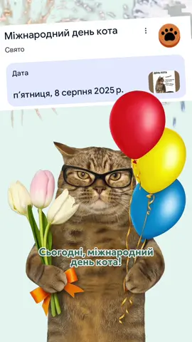 Вітали сьогодні свого улюбленця?😍 #optimeal #корм #улюбленець #кіт #собака 