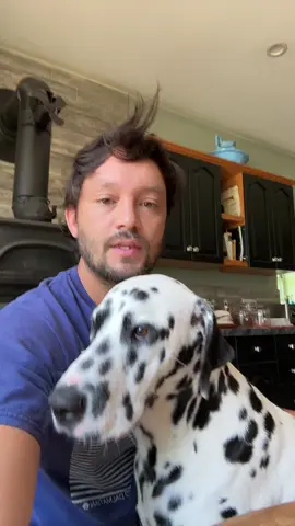 #vanlife 2019-2025  truthfully speaking I feel that the biggest obstacle to overcome in Van Life is the societal  pressure. everyone’s meaning of success is variable and the means to get there are vast. this was my journey and I couldn’t have been happier 