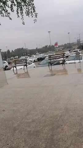 #جامعة كركوك #فولو🙏🏻لايك❤️اكسبلور🙏🏻🌹💫 #جامعة_بغداد  ايام الشتوية✨💕