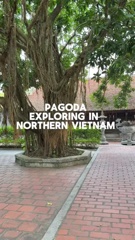 Exploring But Thap Pagoda in Bac Ninh Province 🇻🇳 #vietnam #bacninh #pagoda #temple #exploringvietnam 