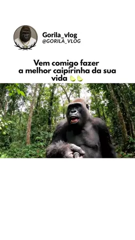 Vem comigo fazer uma caipirinha  #ia #veo3 #inteligenciaartificial #caipirinha #drink #bar 