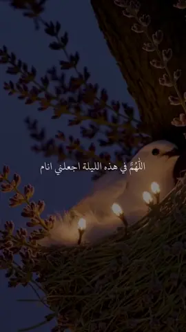 اللهم ف هذه الليلة اجعلني انام فاستيقظ علي خبر جميل 🧡✨#حمزه_بوديب #ادعيه_تريح_القلب #دعاء_جميل #راحه_نفسيه #دعاء #صلوا_على_رسول_الله #سبحان_الله_وبحمده_سبحان_الله_العظيم 