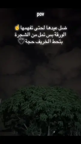 #مالي_خلق_احط_هاشتاقات #تصويري📷 #الاردن_فلسطين_العراق_سوريا #اربد_عمان_جرش_عجلون_الزرقاء #اقتباسات_عبارات_خواطر🖤🦋❤️ #fyp 